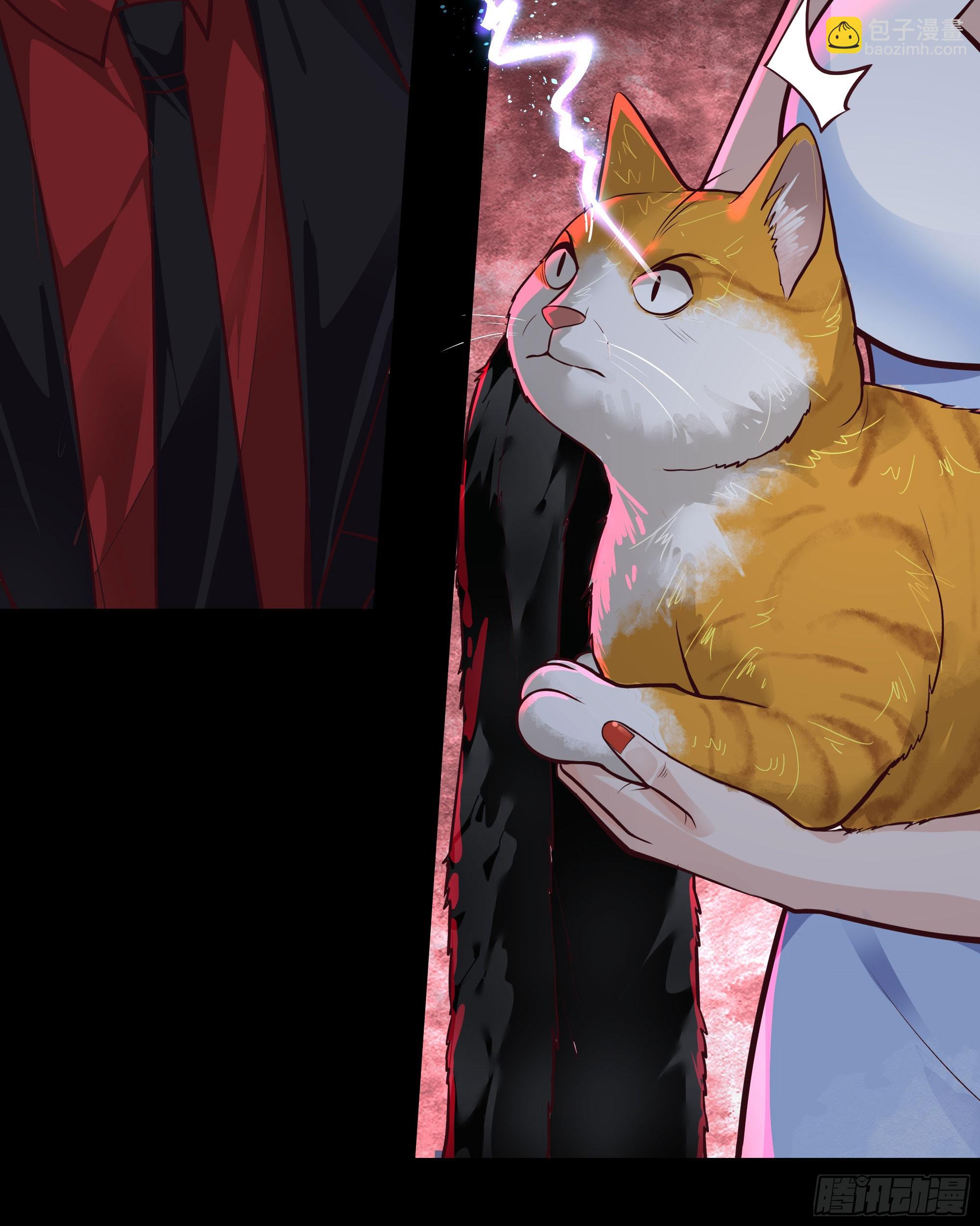 63 城外篇：我希望你自己交代(1/2)-第66话