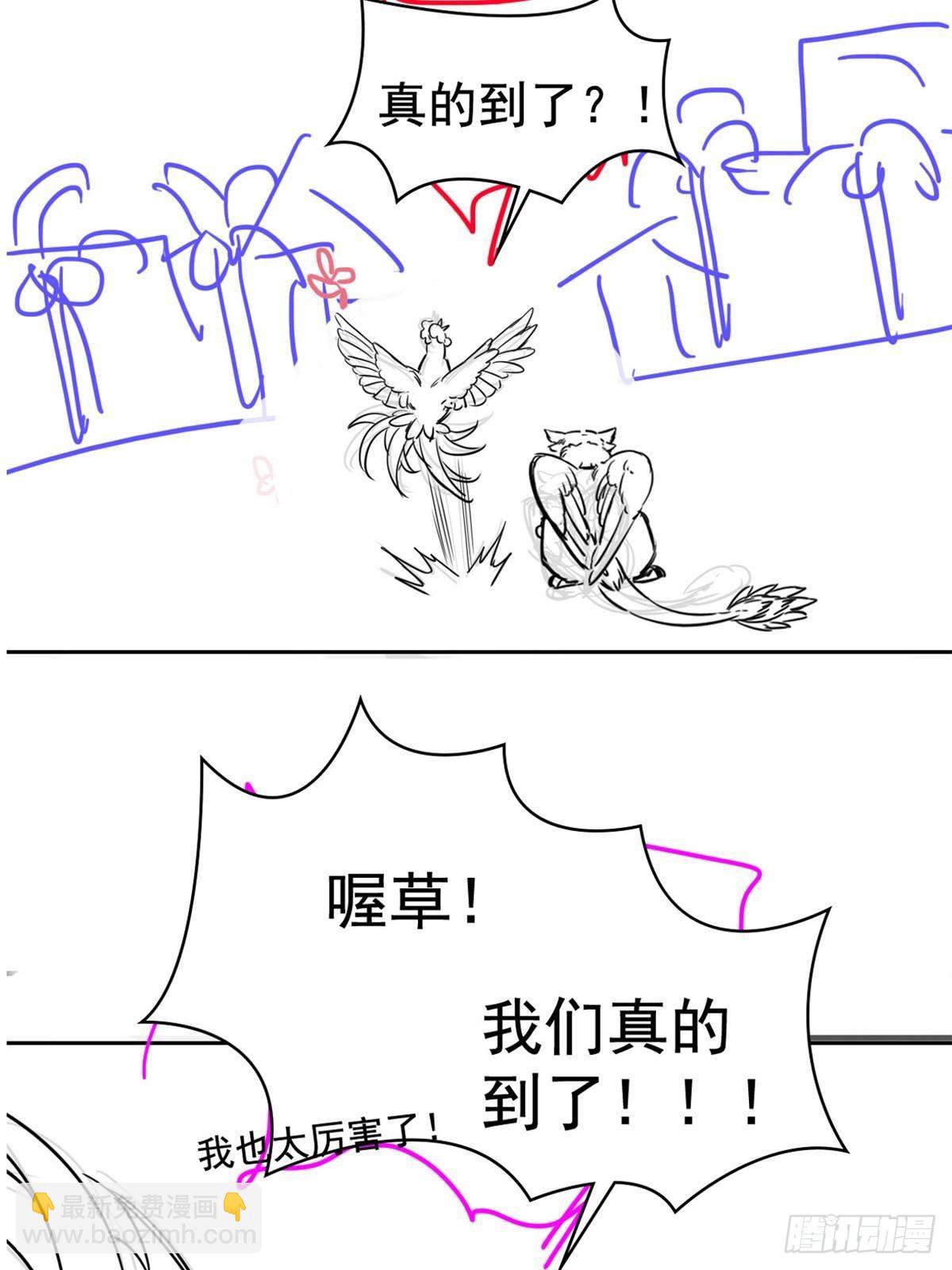 71.jpg
