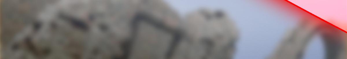 88.jpg