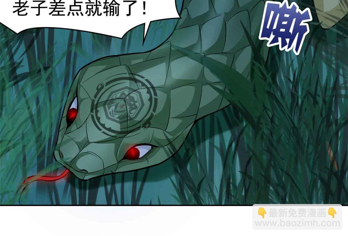 從精神病院走出的強者 - 323 神階以下，雷落成灰(2/4) - 5