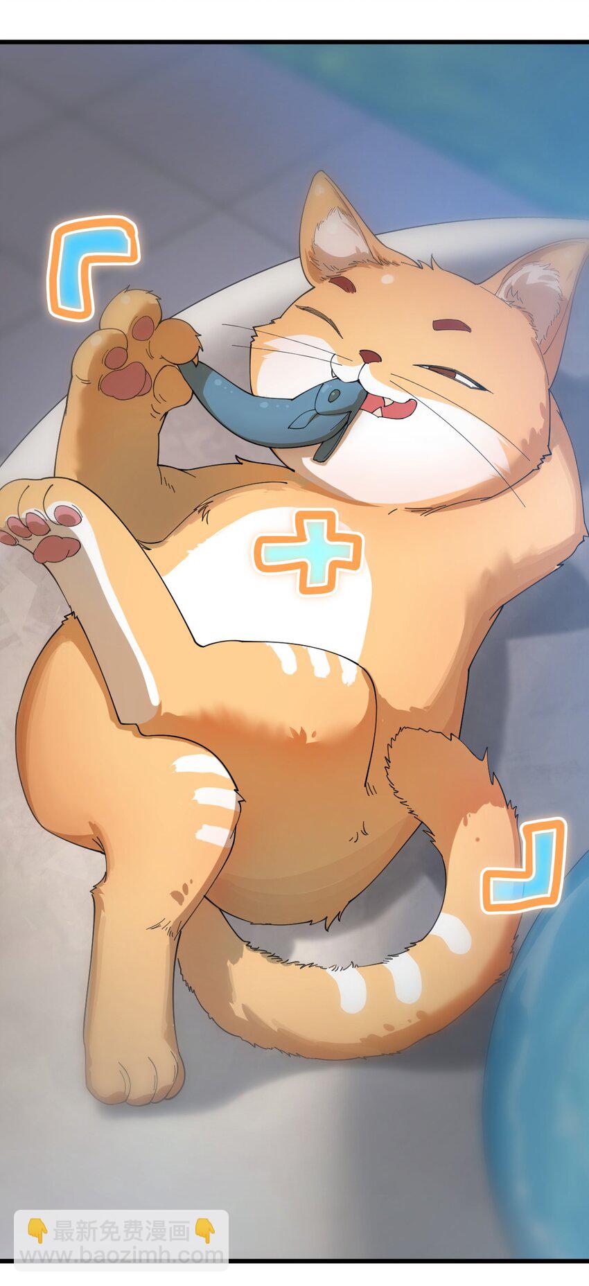 007 这只肥猫到底是怎么回事啊?!-第8话