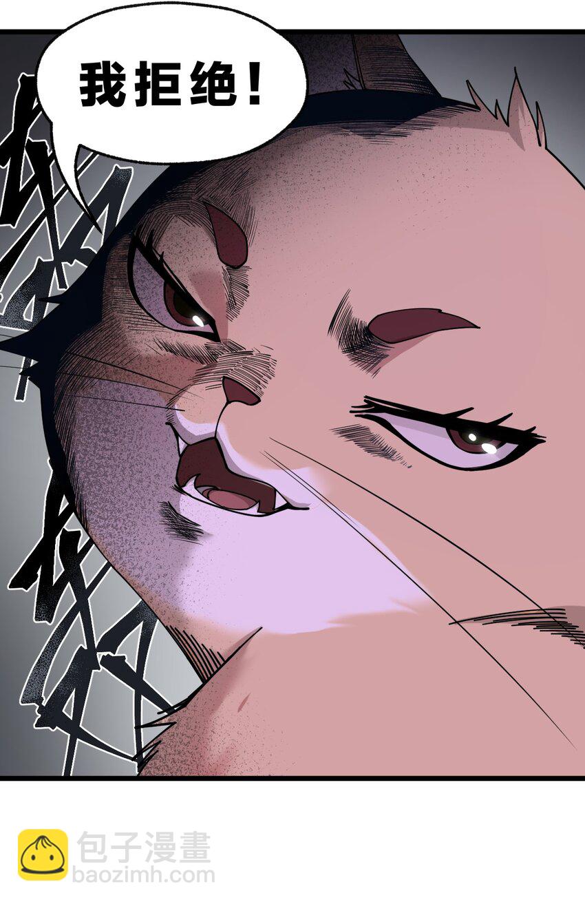 007 这只肥猫到底是怎么回事啊?!-第8话