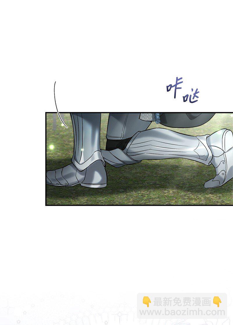 38 出乎意料的骑士(1/3)-第40话