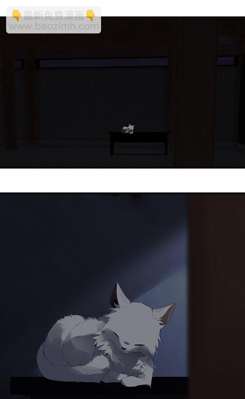 074 投石问路(1/2)-第74话