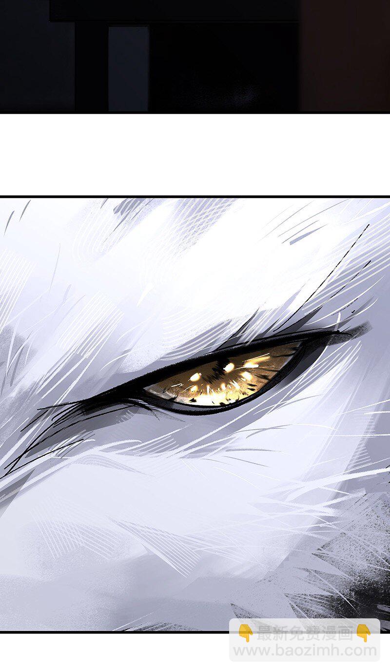 074 投石问路(1/2)-第74话