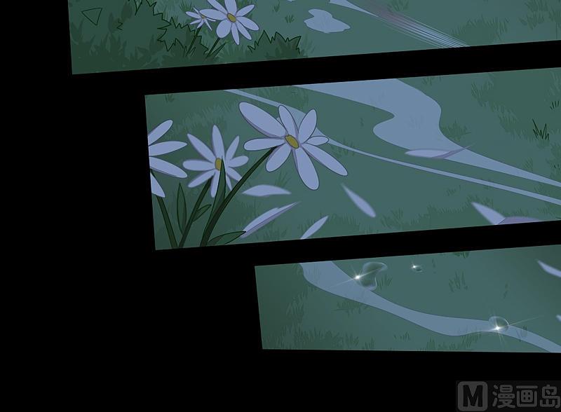 第23话 斑纹虎！-第28话