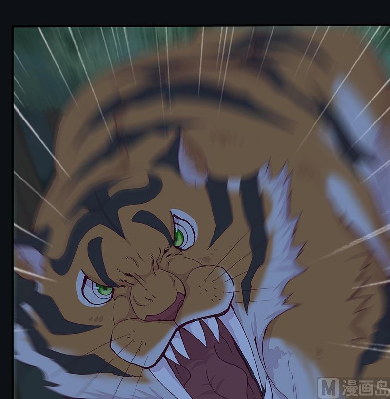 第23话 斑纹虎！-第28话