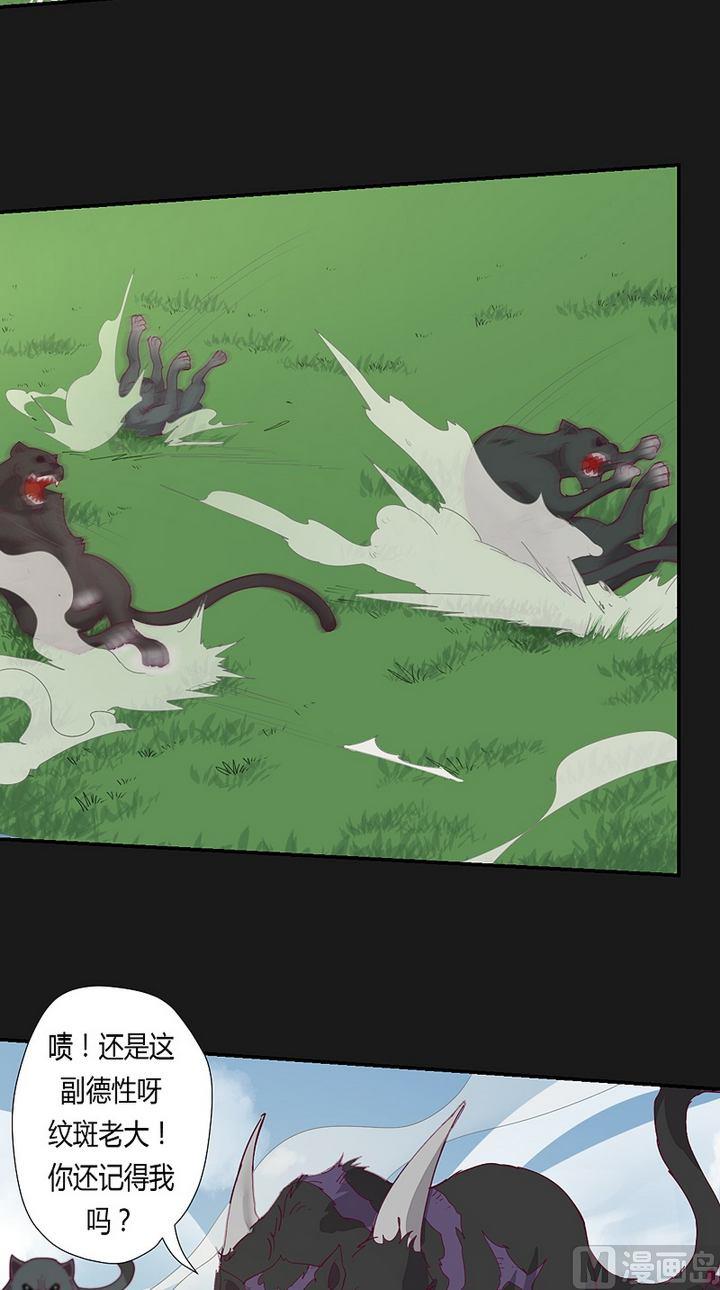 第41话 奔云豹！-第46话