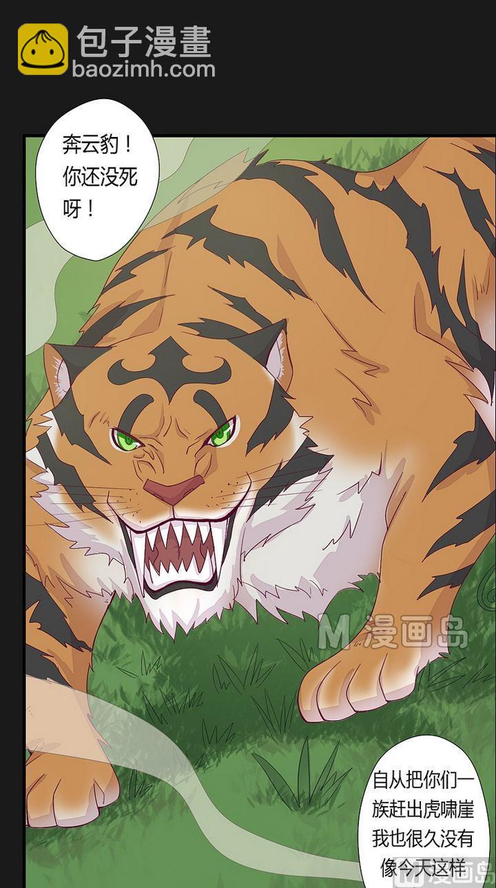 第41话 奔云豹！-第46话