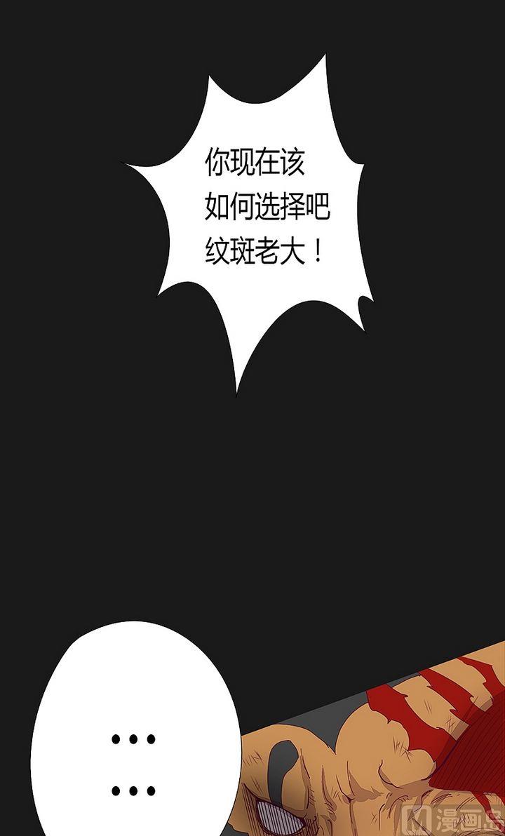 第47话 神树怒号！-第52话