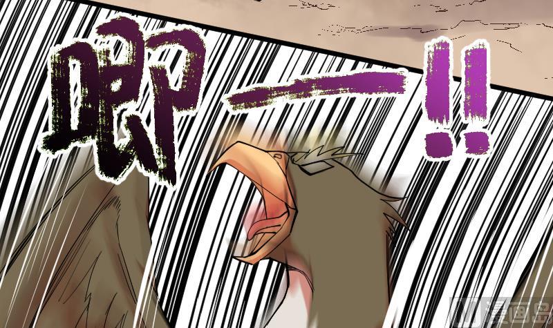 第22话 鹰豹相争(1/2)-第24话