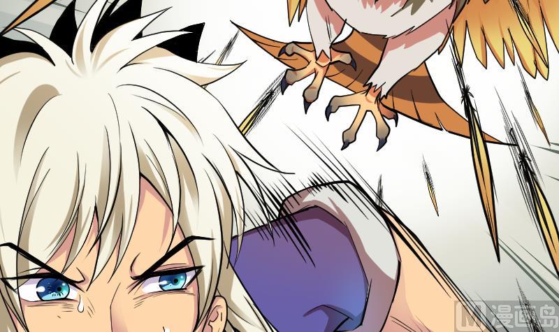 第22话 鹰豹相争(1/2)-第24话