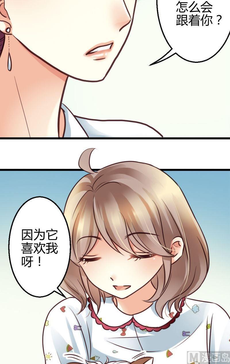 第52话 命定情缘-第52话