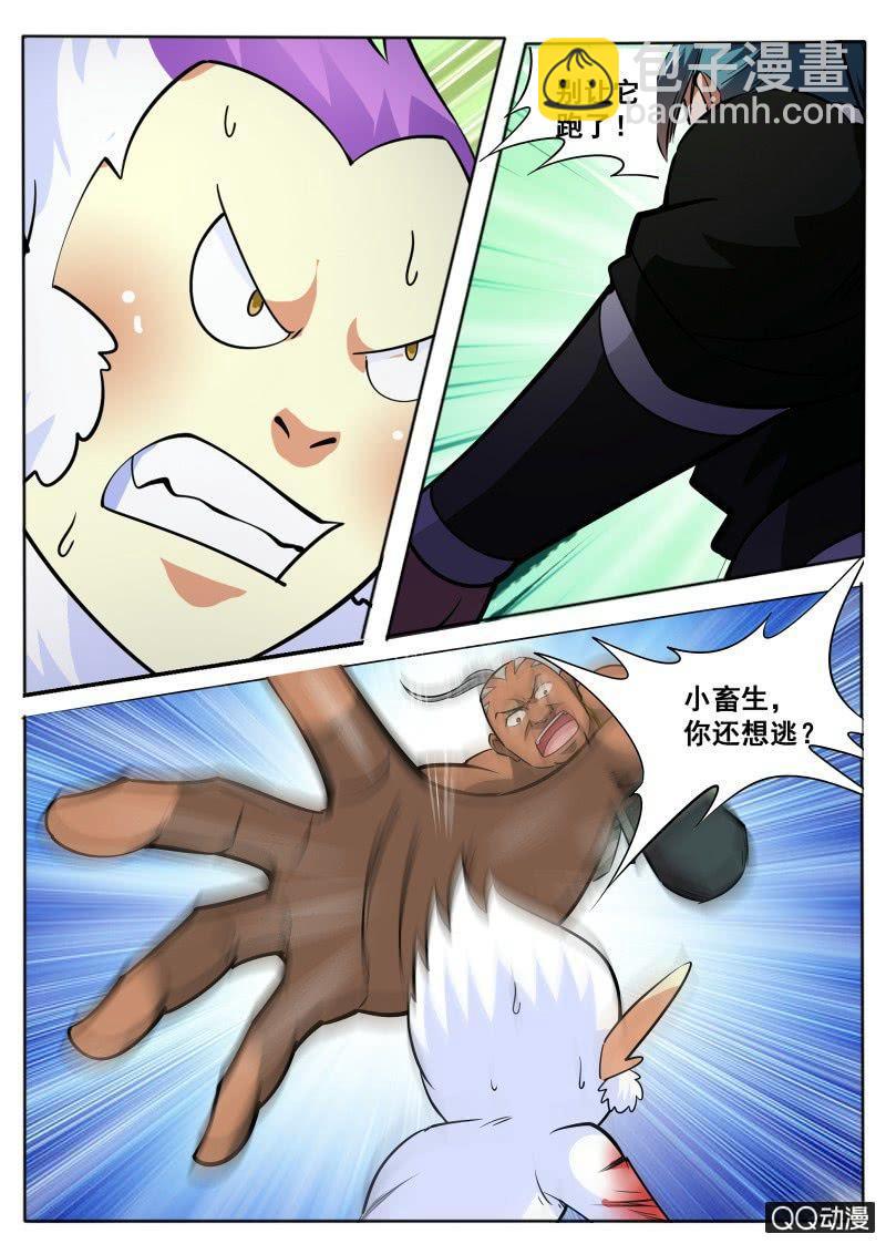 第62话 救小白-第62话