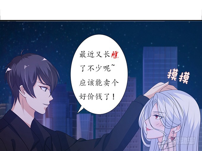 妲己不是壞狐狸 - 妾身蘇妲己(2/2) - 2