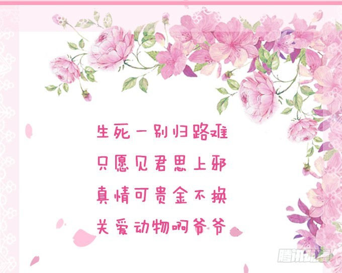 妲己不是壞狐狸 - 蘇妲己之死(2/2) - 7