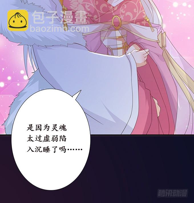 妲己不是壞狐狸 - 帝王的權謀(1/2) - 4