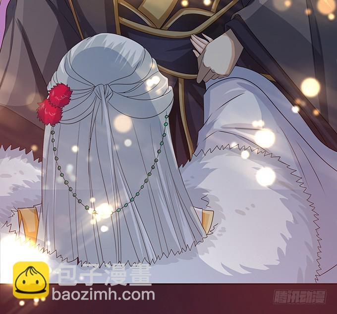 妲己不是壞狐狸 - 帝王的權謀(1/2) - 3