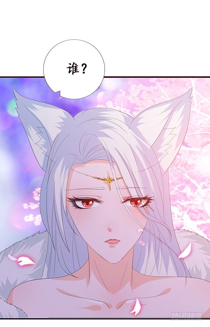 妲己不是壞狐狸 - 初見的回憶(1/2) - 2