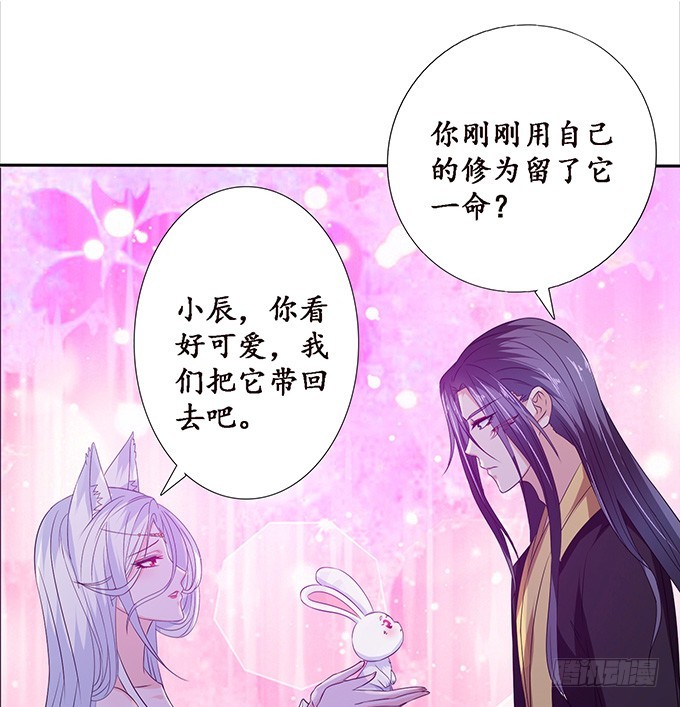 妲己不是壞狐狸 - 孤獨的成全(2/2) - 1