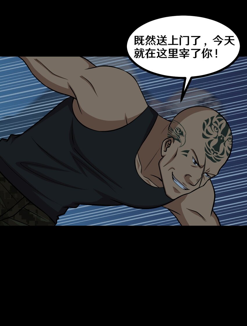 50 猫头鹰的仇恨-第50话