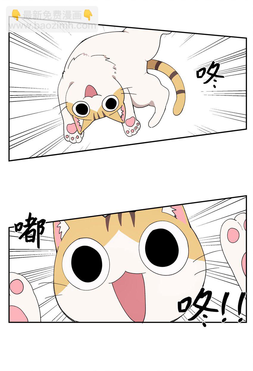 97 一场空(1/2)-第98话