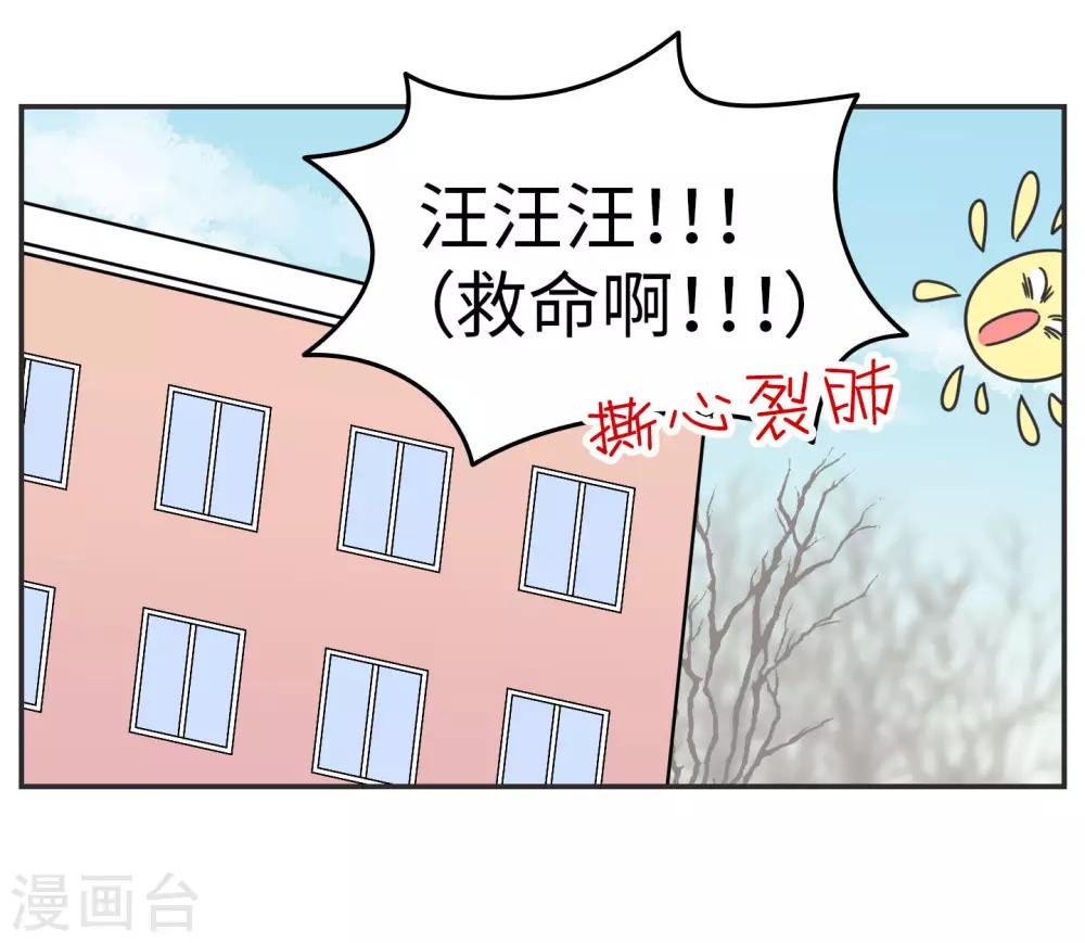 第20话 蚂蚁花的就让蚂蚁还-第20话