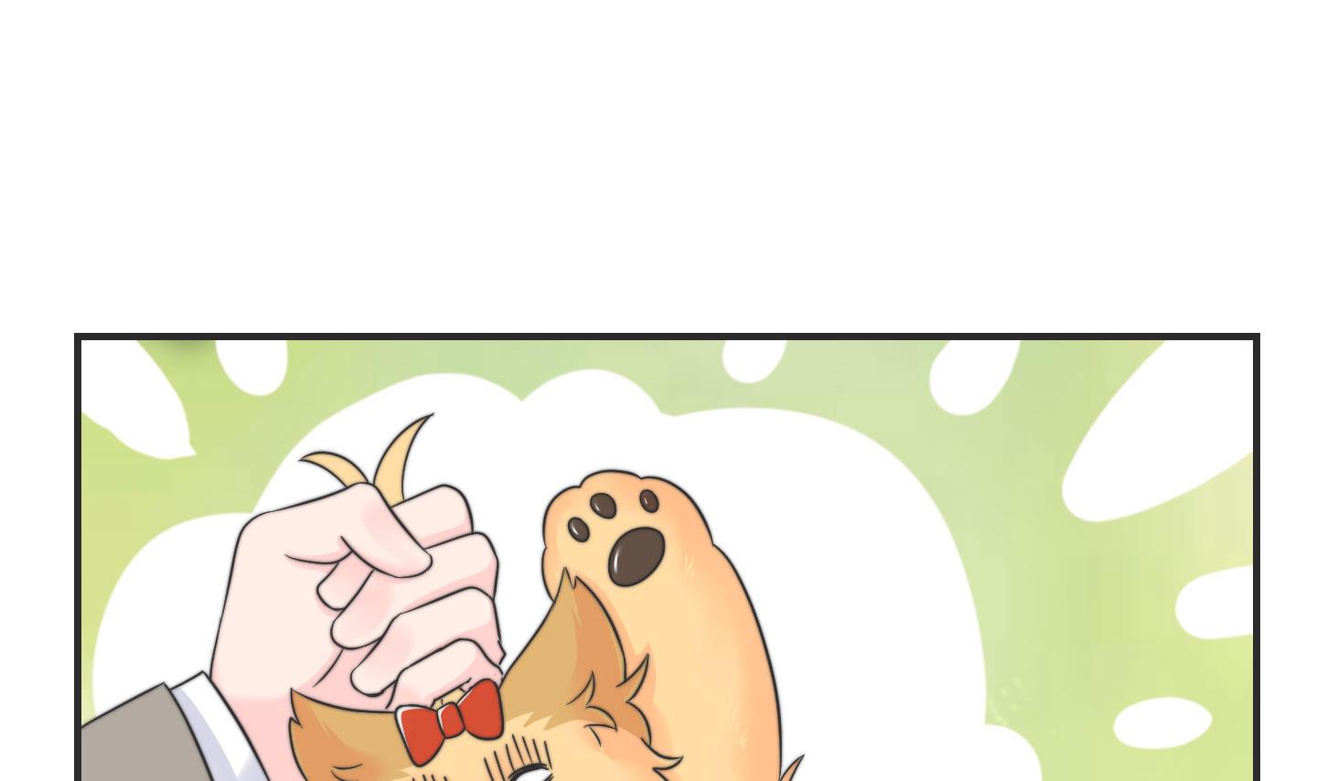 第二季第10话(1/2)-第40话