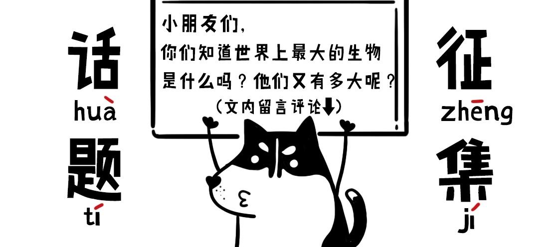 噹噹歷險記 - 02：噹噹智救鯨魚 - 5