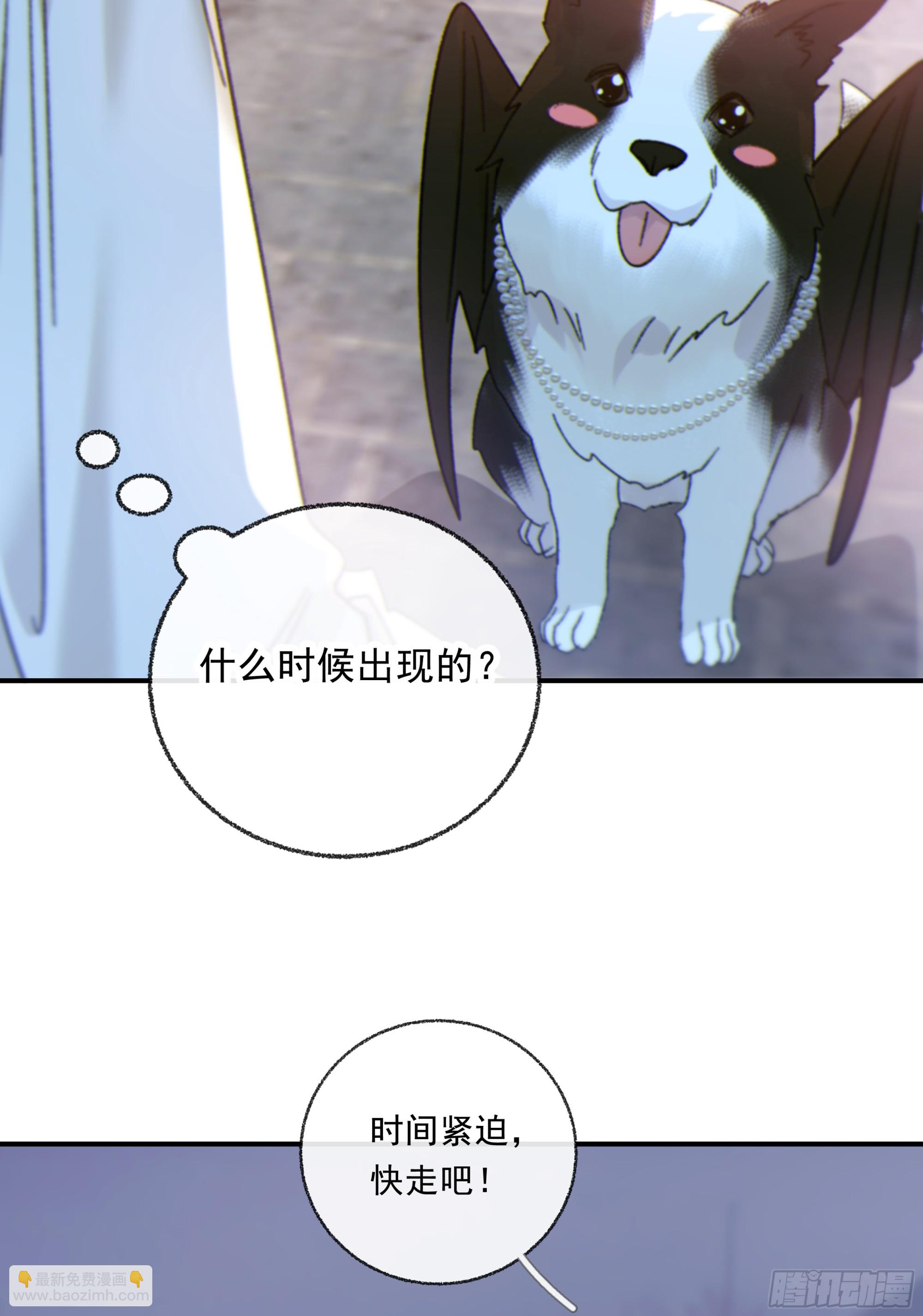 仲夏夜番外 第六夜(1/2)-第50话