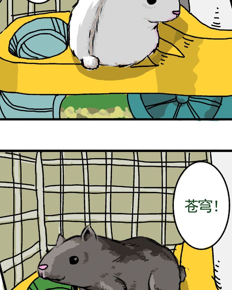 当日常变成非日常 第16集-第16话