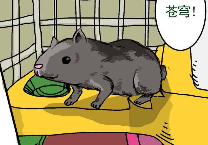 第十五话：归家的日常-第16话