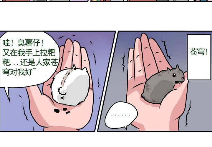 第十五话：归家的日常-第16话