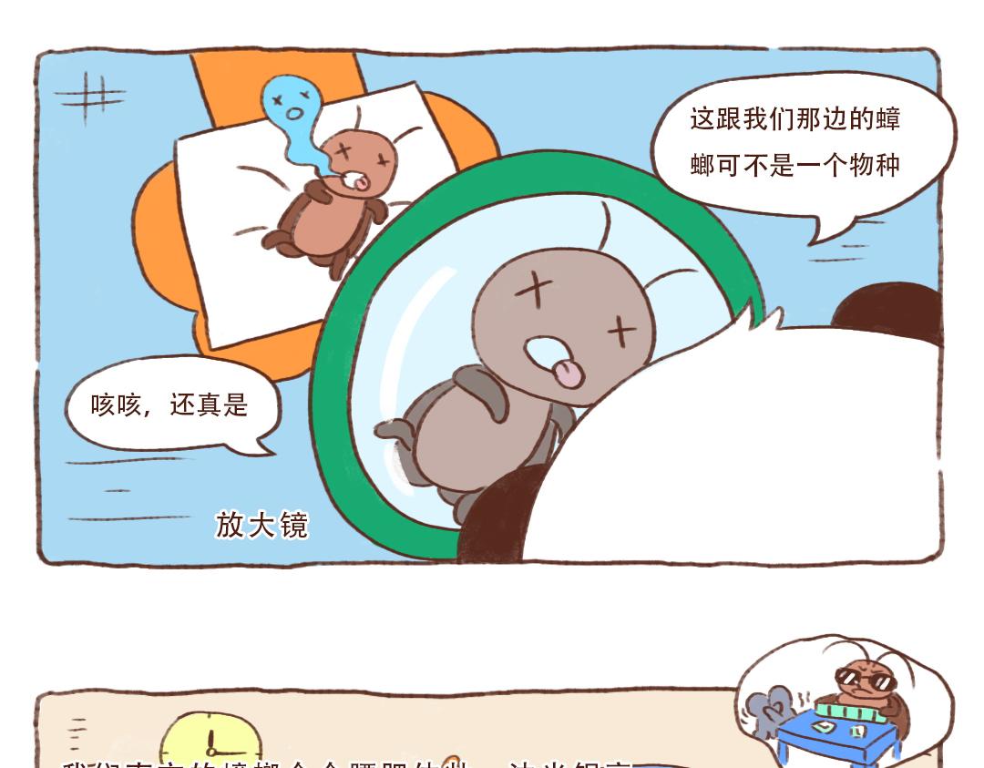 南北方小强不是一个品种-第12话