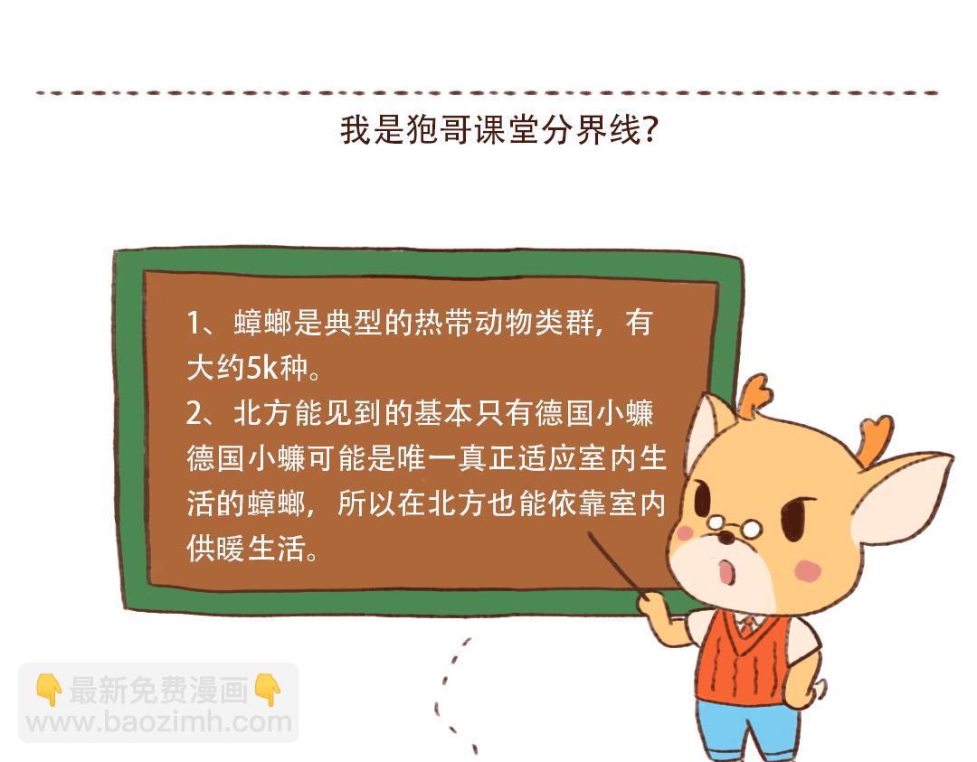 南北方小强不是一个品种-第12话