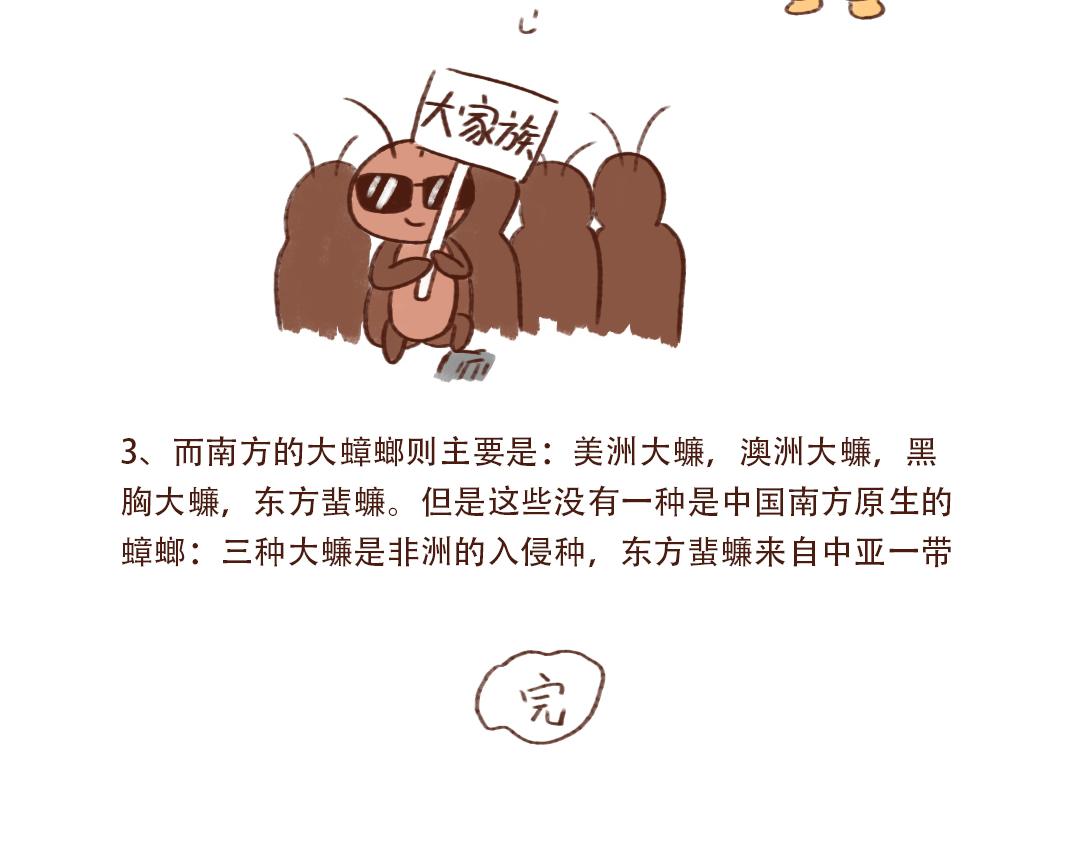 南北方小强不是一个品种-第12话