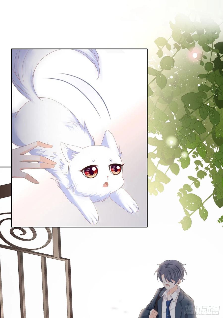 绿茶终结者-第14话