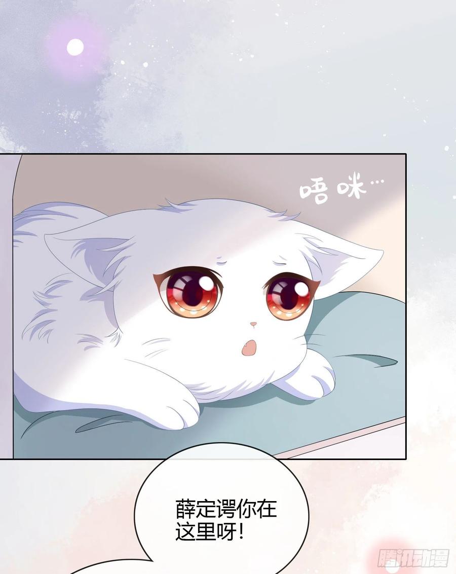 绿茶终结者-第14话