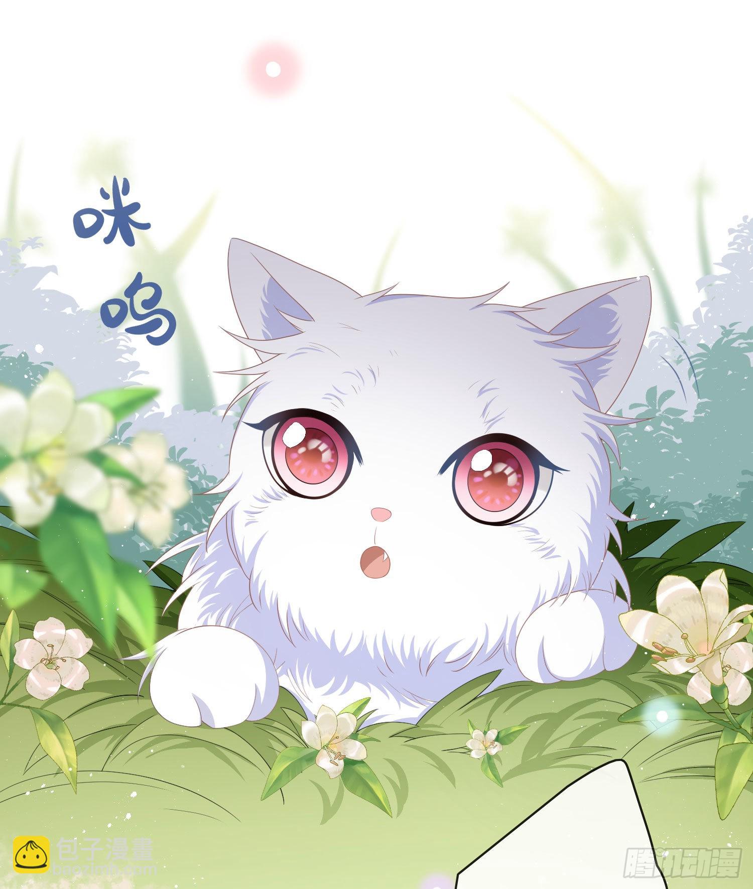 當影后不如念清華 - 這是什麼人間小可愛？！ - 5