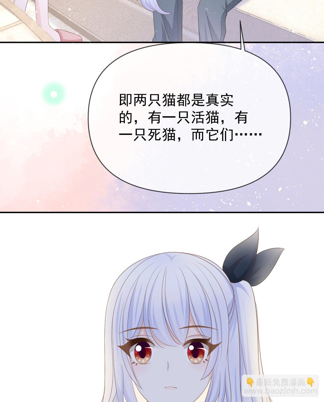 當影后不如念清華 - 薛定諤的貓(1/2) - 4