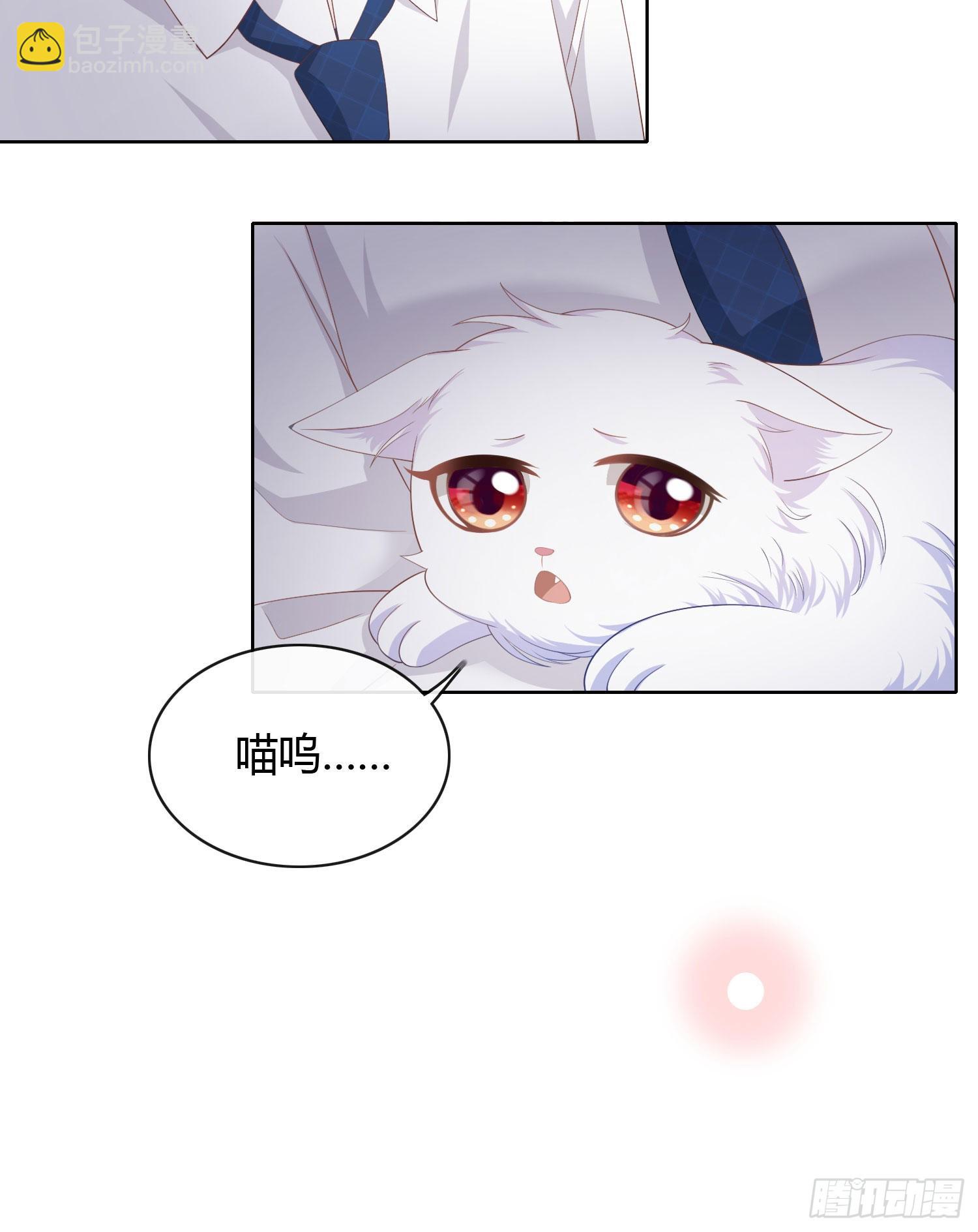 當影后不如念清華 - 綠茶終結者 - 2