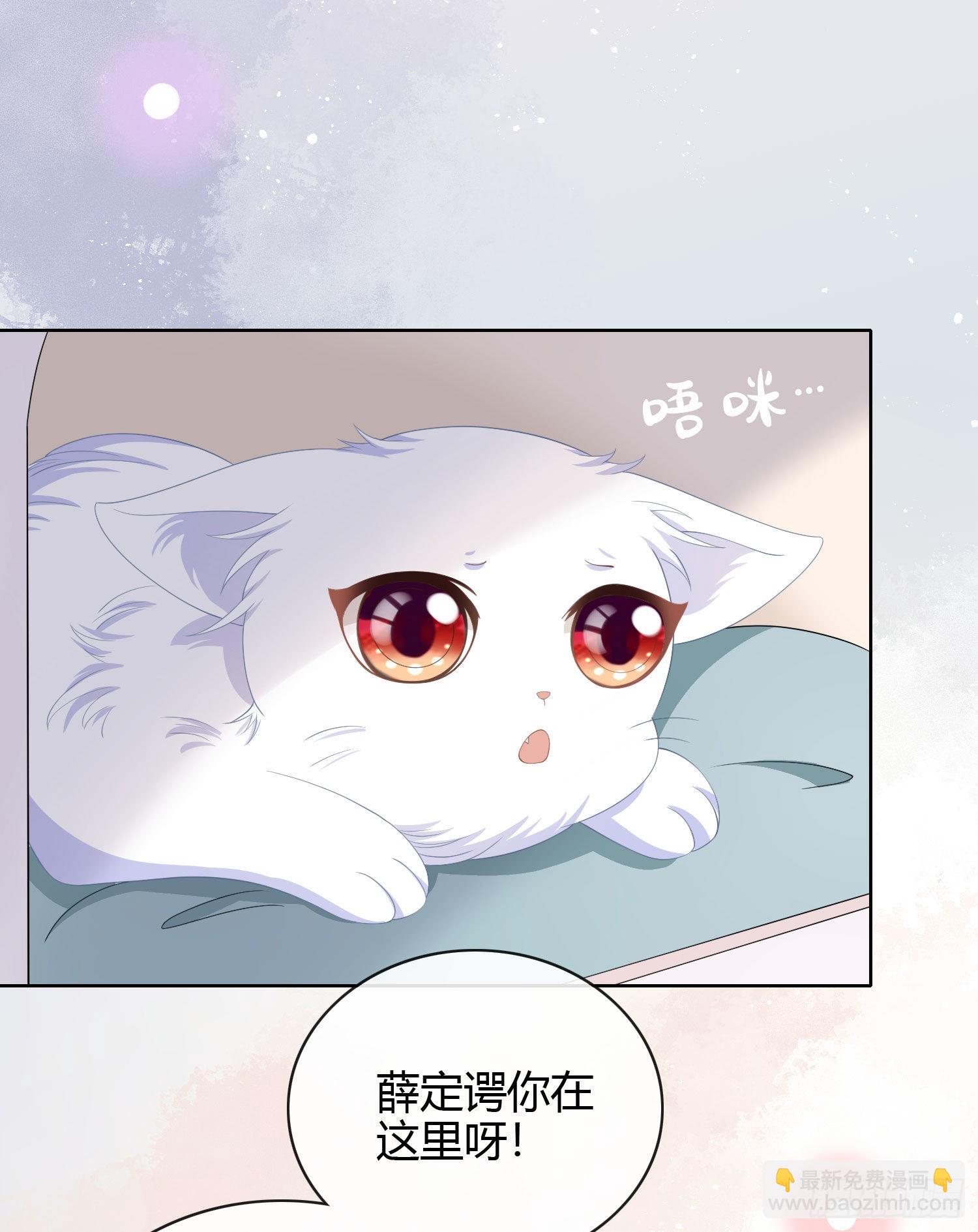 當影后不如念清華 - 綠茶終結者 - 6