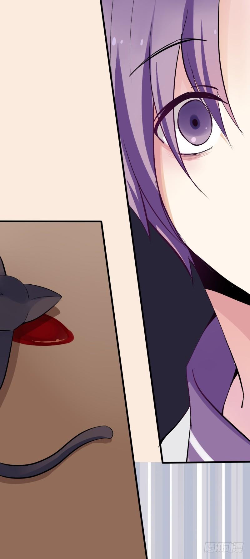 猫的报恩（4）-第12话