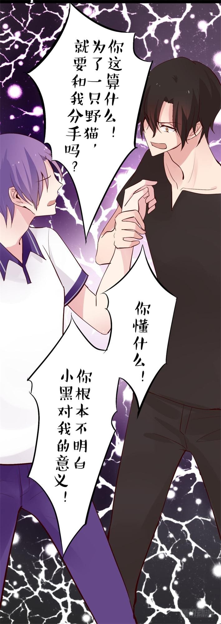 猫的报恩（4）-第12话