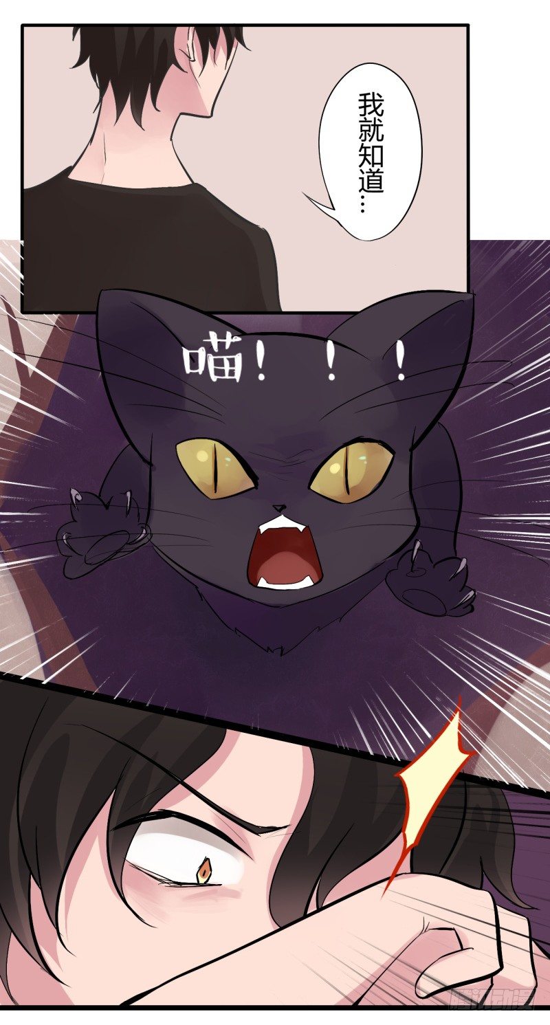 猫的报恩（6）-第14话