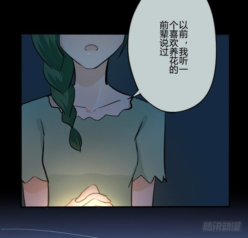 耽美詭談 - 花兒與少年（1） - 5