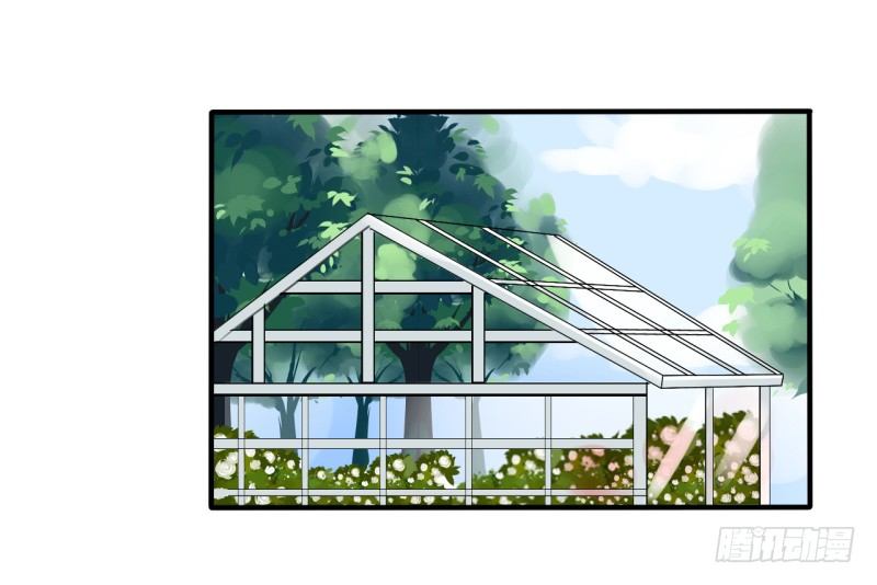 花儿与少年（3）(1/2)-第22话