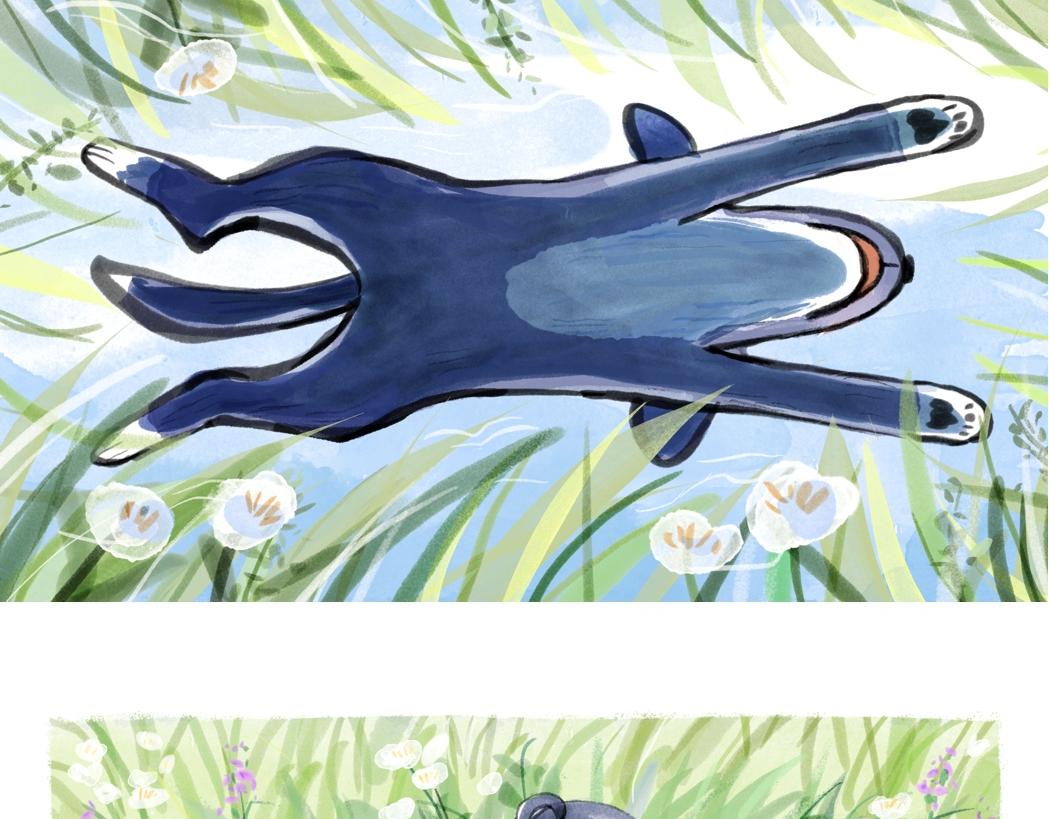 105 不靠谱的法国邮政-第106话