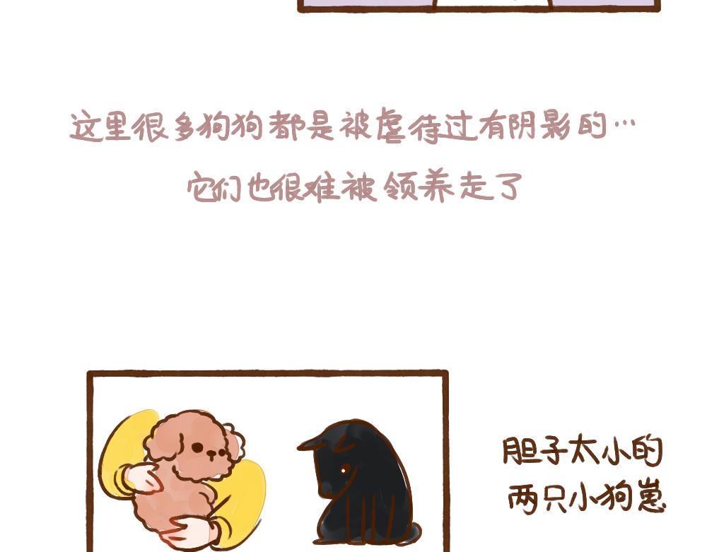 019 领养一只狗子！？-第20话