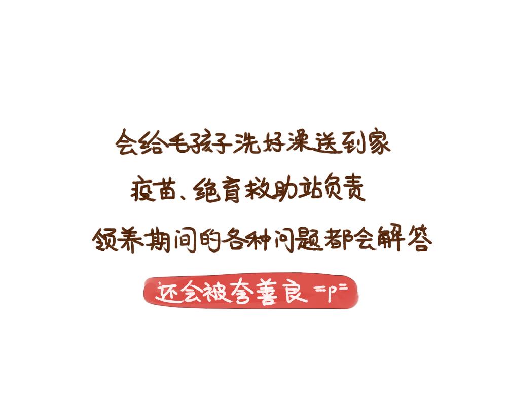 019 领养一只狗子！？-第20话